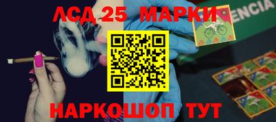 прущие грибы Кандалакша