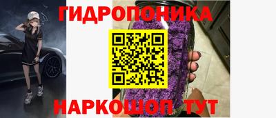 мдпв Камышлов