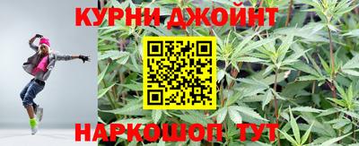 мдпв Камышлов