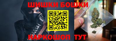 мдпв Камышлов
