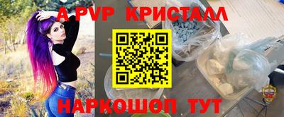 прущие грибы Кандалакша