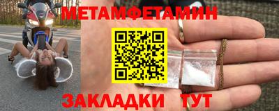 прущие грибы Кандалакша