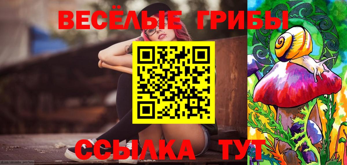 Галлюциногенные грибы Cubensis Ленинск-Кузнецкий